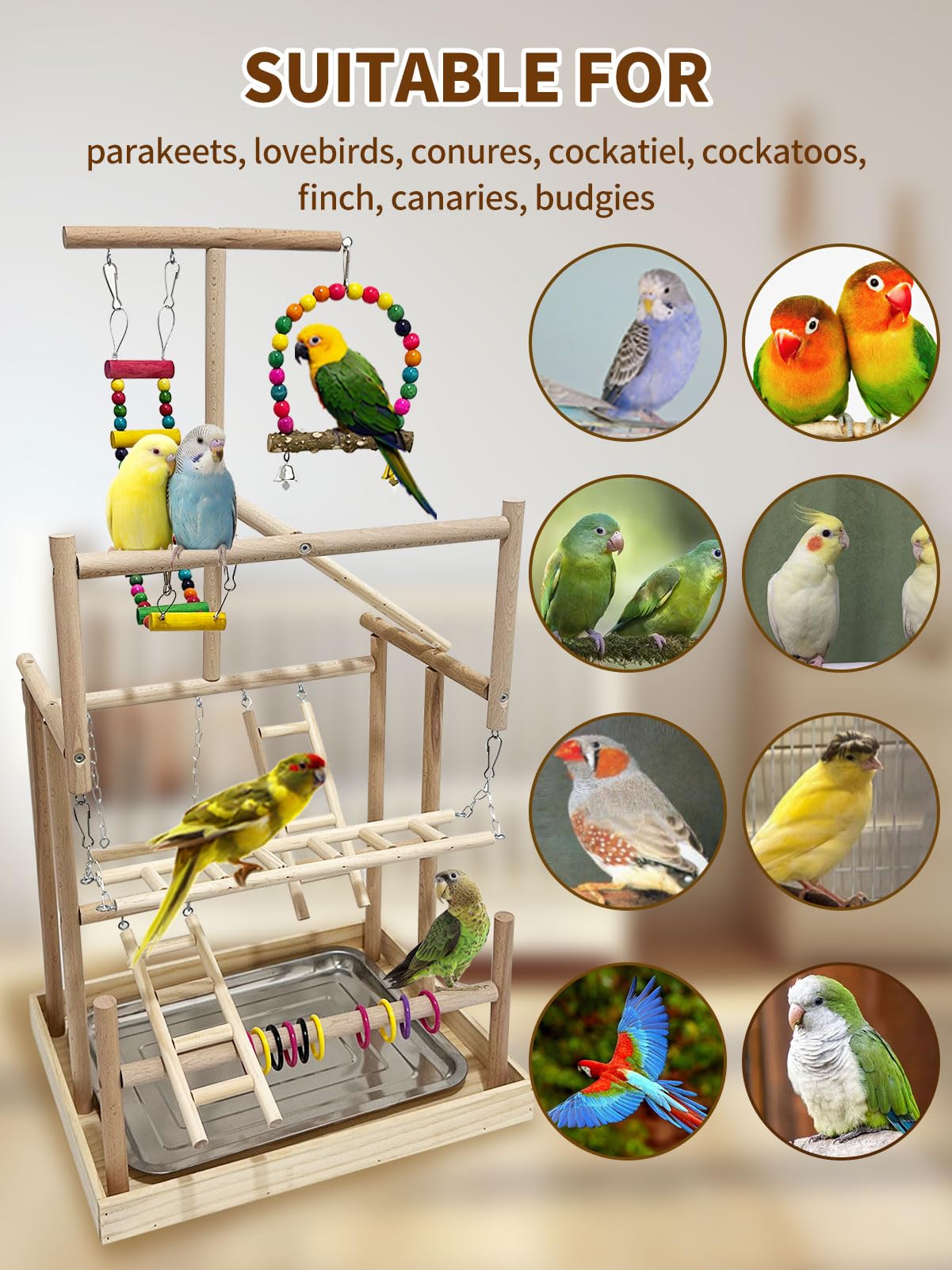 5 Layers Large Bird Playstand with Wheel, Natural Wood Parrot Playground, Parakeet Perch Stand Small Bird Playgym with Ladder Toy Accessories for Cockatiel Cockatoo Finch Budgie Lovebird - image 8