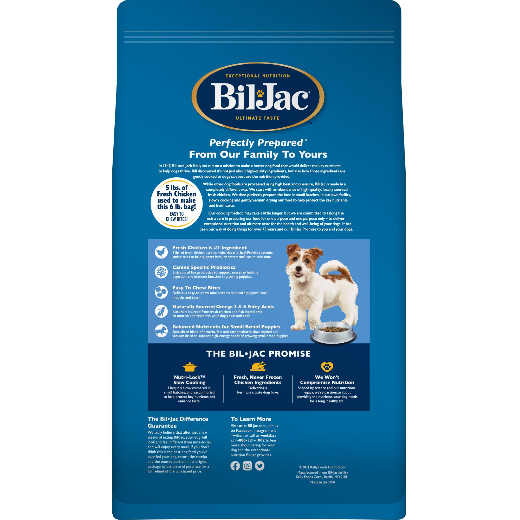 Amazon.co.jp: ビルジャック スモールブリードパピー2.7kg : ペット用品