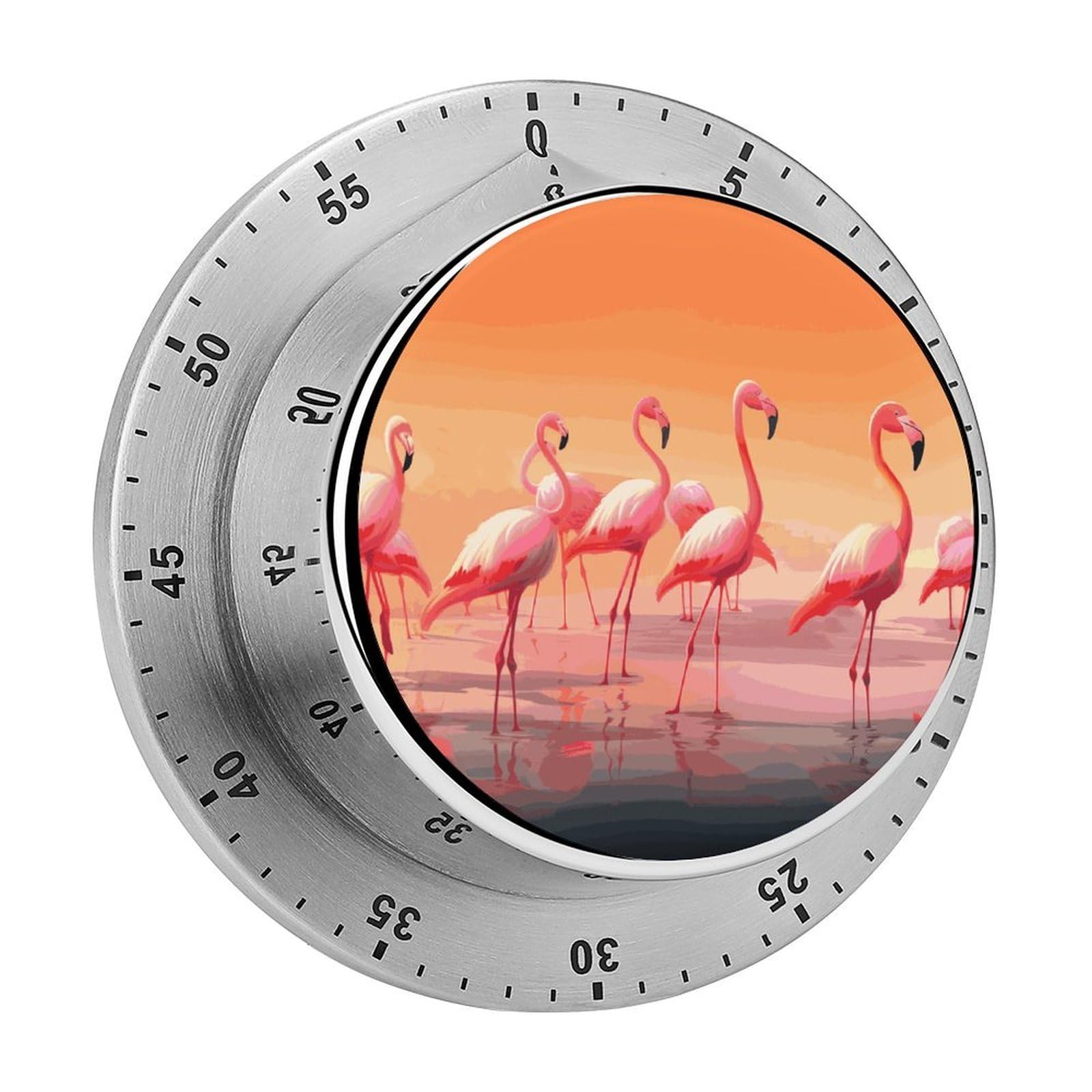 A Flock of Flamingos Visual Timer with Loud Alarm 60-Minute Kitchen Timers Exquisite Stainless Steel Body - Mechanical Desk Timer Countdown Clock for Cooking Chef Clock