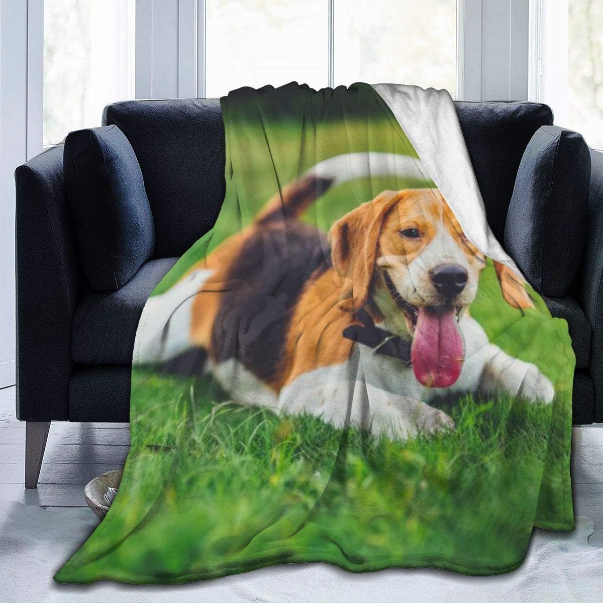 Yangzhi The Beautiful Beagle Dog is Outdoors Full Fleece