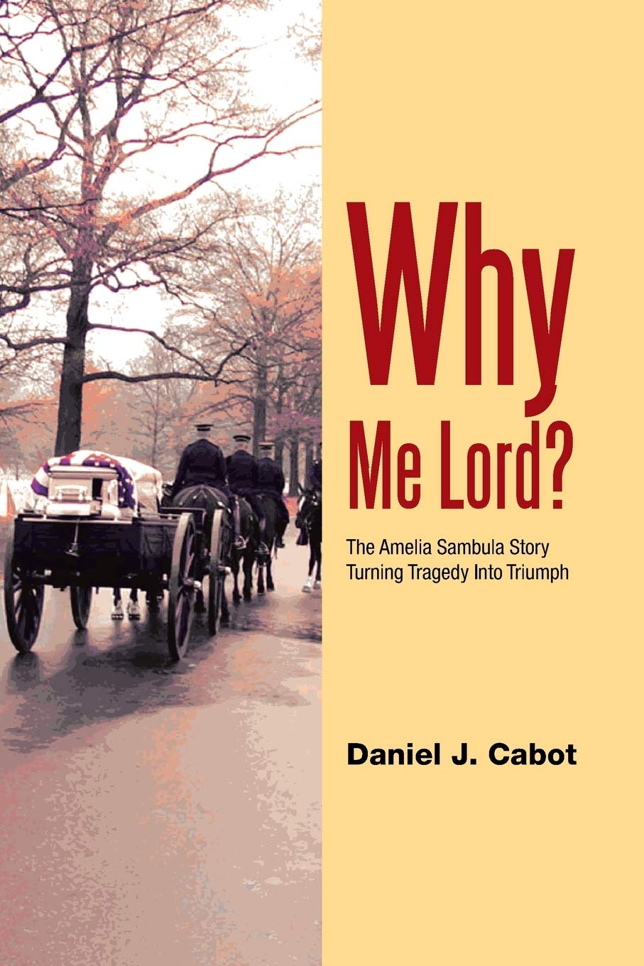 Why Me Lord?: The Amelia Sambula Story Turning Tragedy into Triumph