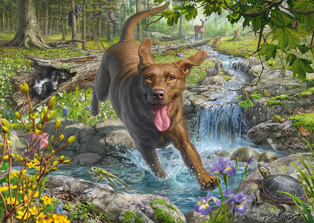 Schmidt Spiele 58559 Mark Frederickson, Dog Love, Spring Walk with Labrador Retriever, 1000 Piece Jigsaw Puzzle