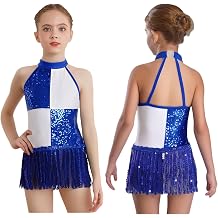 Kids Girls Sparkly Latin Dance Dress Leotards Sequins Fringed Bodysuit Modern Jazz Latin Ballroom Costume
