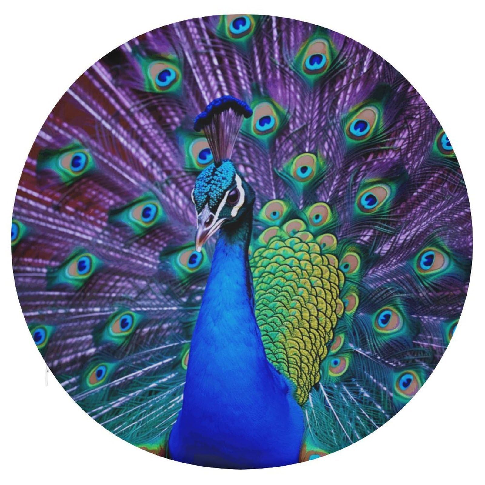 Wsoihfec Style Beauty Peacock Seat Cushion Round Chair Pad
