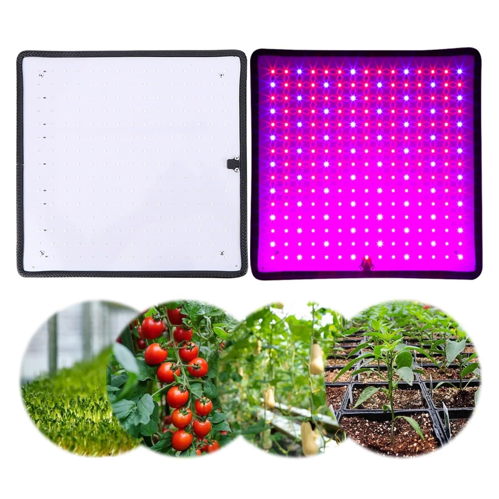 Phyto Grow Light Rot Blau LED Voll Lampe 45W 225 for Indoor Zelt Pflanzen Wachstumslicht UV Indoor-Anbau