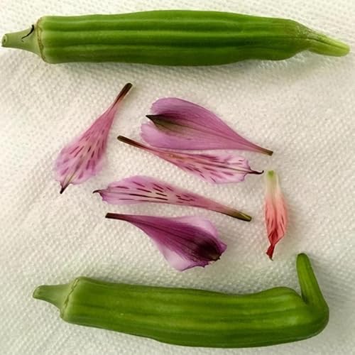 X Ab N Ab K E By Thomas Farmer On Amazon Music Amazon Co Uk