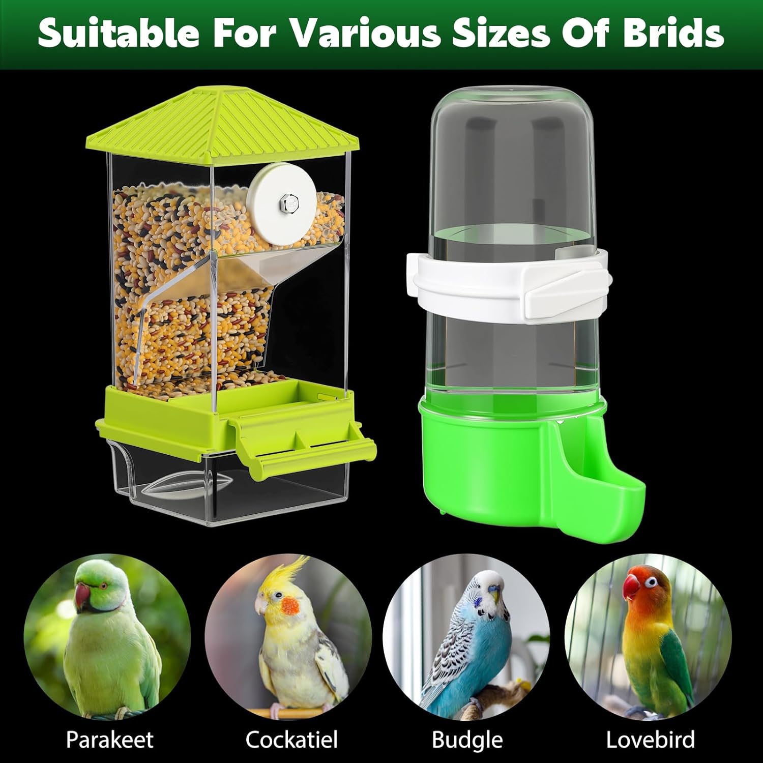 Yaomiao 4 Pcs No Mess Small Bird Feeders Automatic Parakeet Water Dispenser Clear Quail Feeder and Watered Cage Accessories for Small and Medium Parakeet Cockatiel Canary(Assorted,Green)