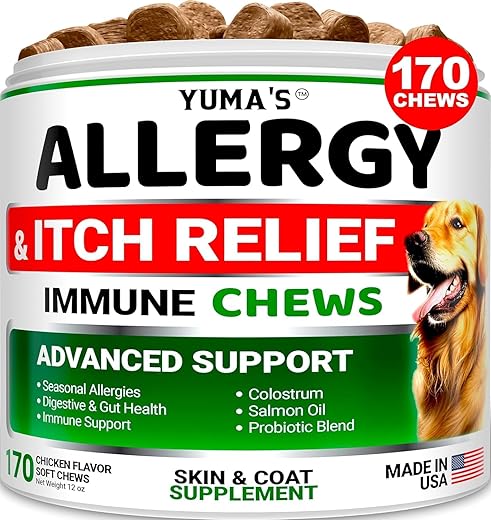 Dog Allergy Relief Chews - Dog Itching Skin Relief Treatment Pills - 170 Chews - Anti-Itch Chewables - Itchy and Paw Licking - Hot Spots - Omega 3 Fish Oil - Dry Skin & Coat Supplement