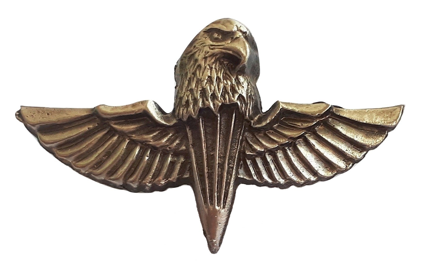 Amazon.com: Israeli army eagles paratroopers commando badge IDF