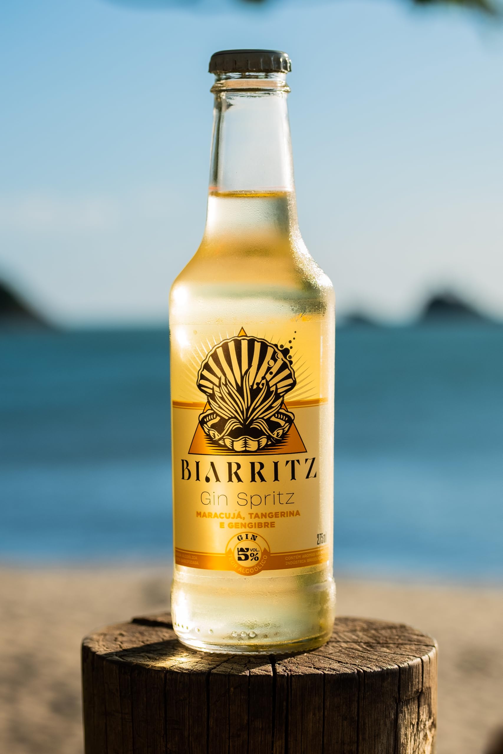Biarritz Gin Spritz Maracujá, Tangerina e Gengibre – Pack 6