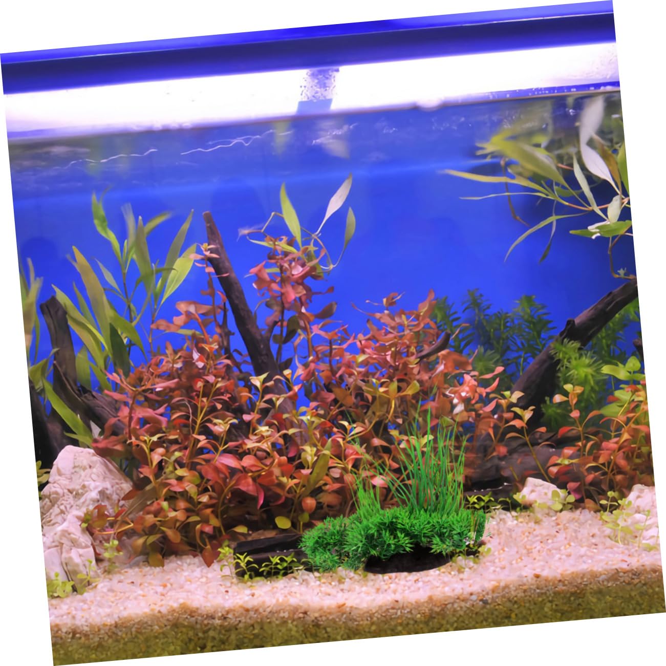 DOITOOL 3 Piezas Decoración De Plantas Falsas Planta Falsa Plantas De Pecera Planta De Falsa para Pecera para Decorar Peceras Objetos Decorativos Artificial
