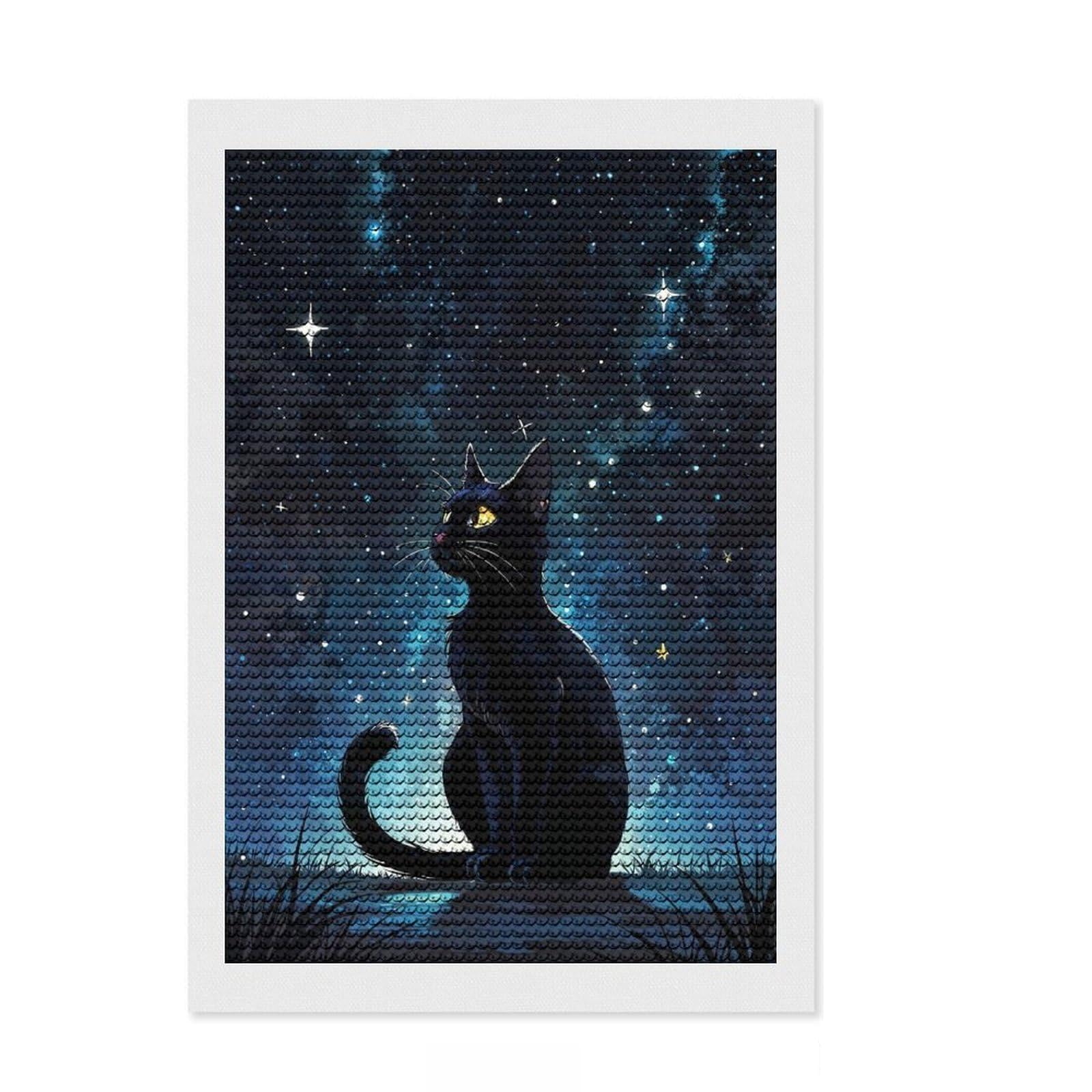 Junmoney Black Cat Under Starry Sky Round Drill Diamond Painting 8"x12", for Adults, Calming Craft to Unwind, Vintage Style Decor, Christmas Gift