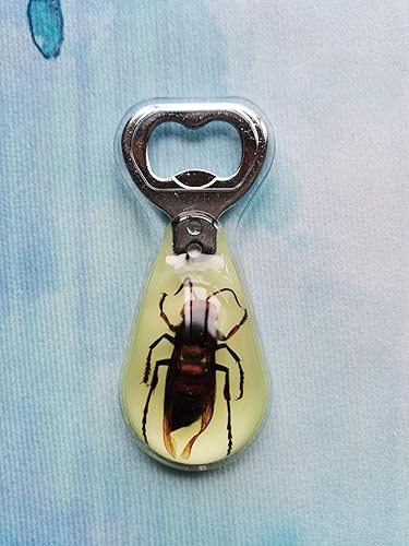 Miniatura 7 de Especímenes de insectos escorpión negro real, abridor de botellas de vino de cerveza, colección de taxidermia de animales, manualidades de abridor