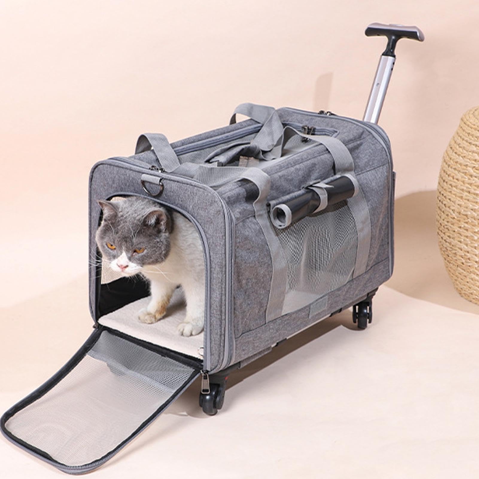 Reisetasche für Hunde – Transportbox für Haustiere mit Tragegurt, Reisetasche für Katzen, kleine Tragetasche für Hunde und Katzen mit Rollen, Flugzeug-zugelassene Reisetasche | Reisetasche für Katzen, kleine Tragetasche für Hunde und Katzen mit Rollen, Fl