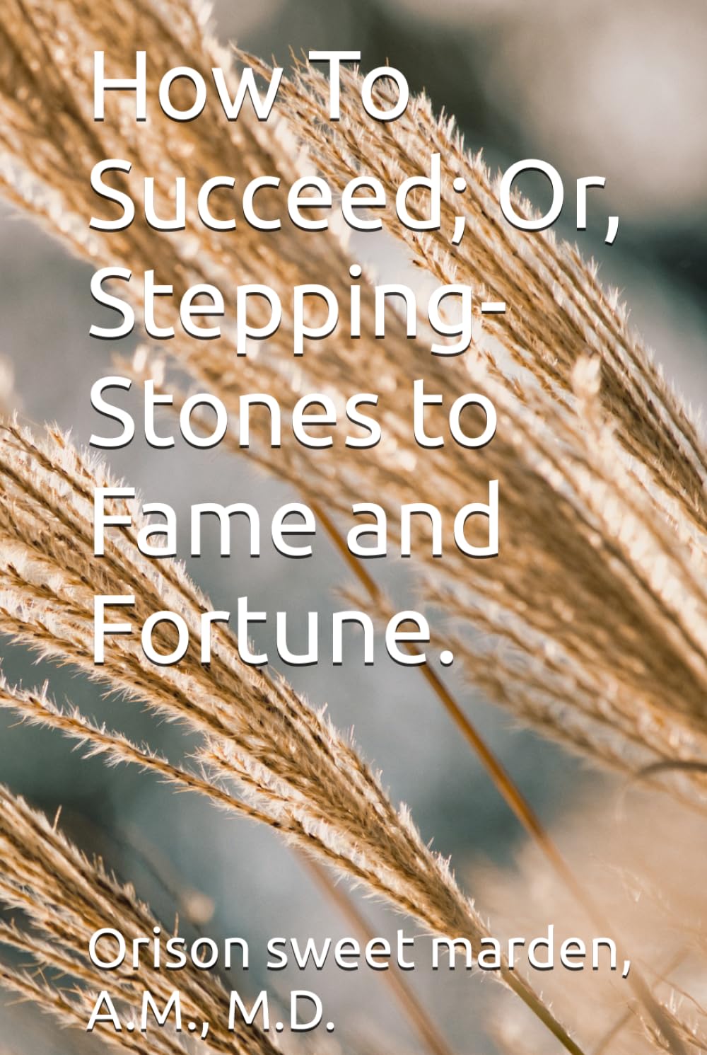 How To Succeed; Or, Stepping-Stones to Fame and Fortune.