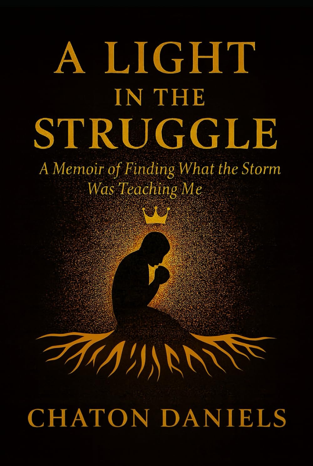 A Light in the Struggle: A Memoir of Finding What the Storm Was Teaching Me