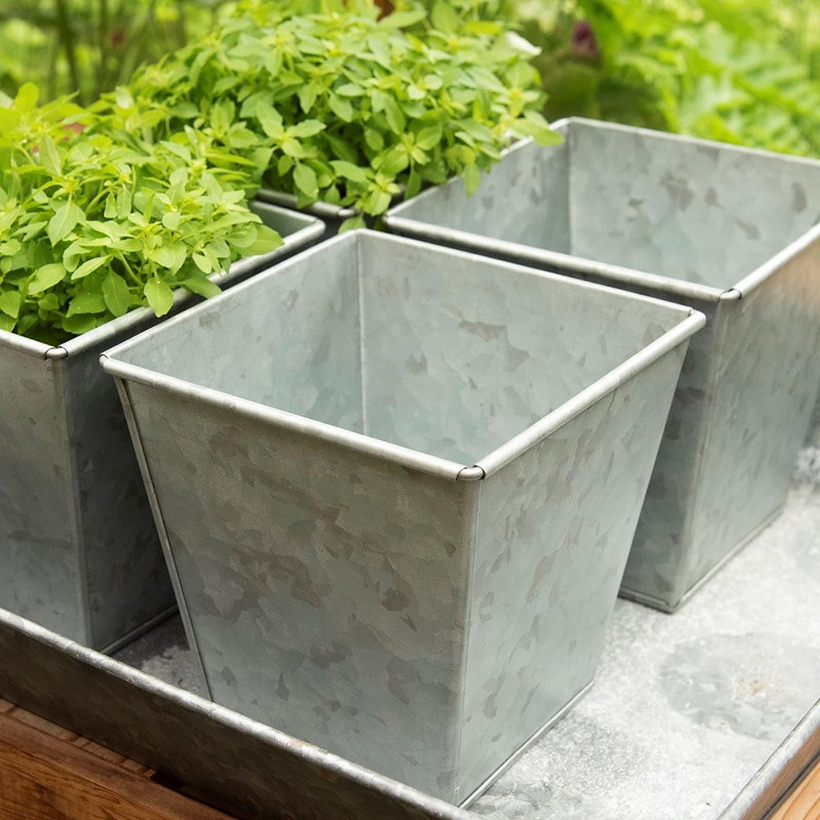 Crocus Silver Collection 14Cm Windowsill Herb Plant Pots Square Galvanised Handfinished Planters With Drainage Holes