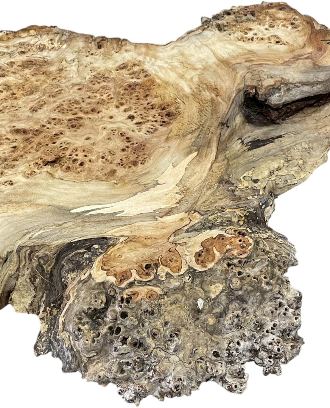 バトスピ 星座編 八星龍降臨 未開封 バトルスピリッツ 星座編 未開封