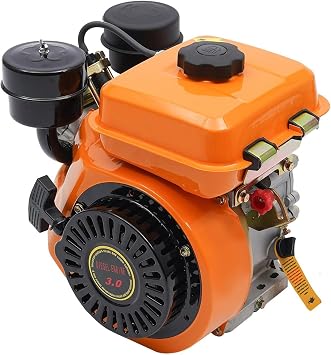 196CC Diesel Engine, 3HP 4 Stroke Single Cylinder Diesel Motor, Air Cooling Oblique horizontal Engine Motor Hand Start Direct Injection 2.2KW, Small Diesel Engine for Agricultural Irrigation, Farmland