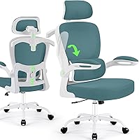 Vista 1 de AreShark Silla de Oficina Ergonómica con Soporte Lumbar Ajustable y Gancho para Respaldo, Silla de Malla Transpirable con Respaldo Alto y Ruedas