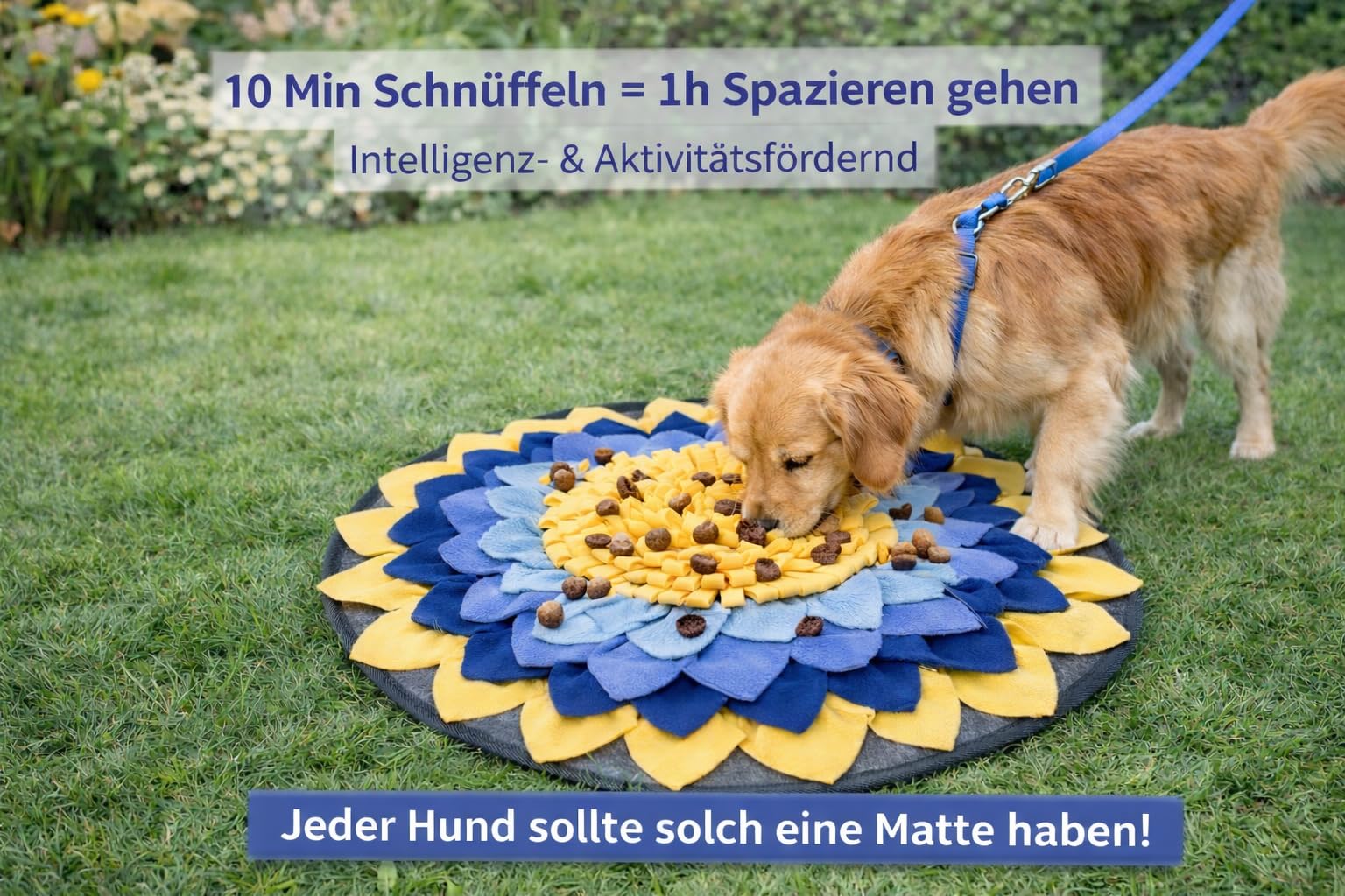 Schnüffelteppich Hund, Schnüffelfuttermatte für Training, Hundespielzeug, Haustierbedarf, Haustier Futtermatte, Gelb und Blau, Blumen Muster, Fleece Material