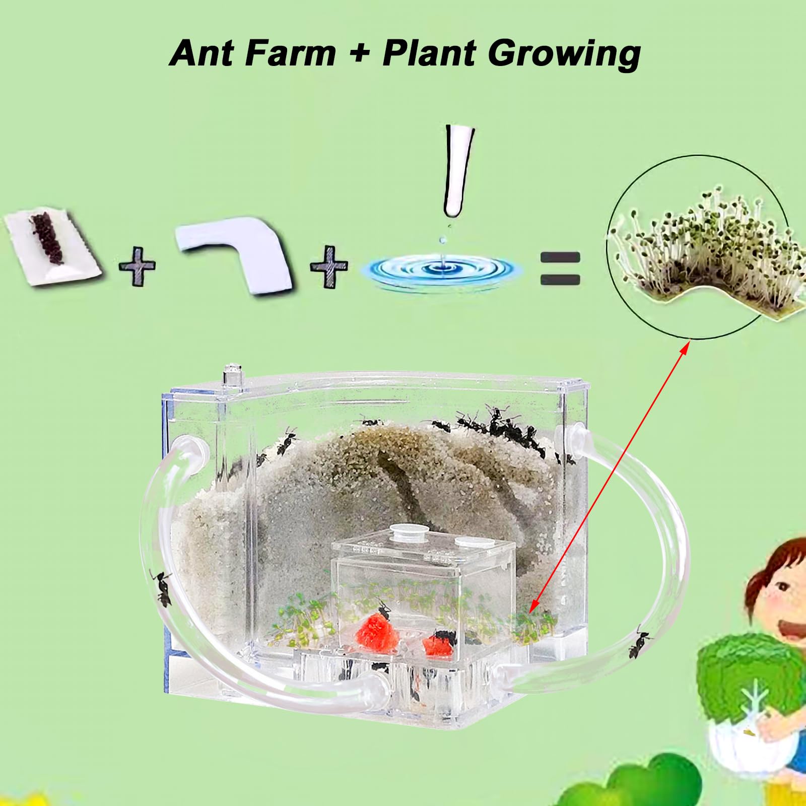 AntHouse - Natural Sand Anthill 3D Basic Kit (Sandwich Foraging Box) Grey Ants - Foto 3