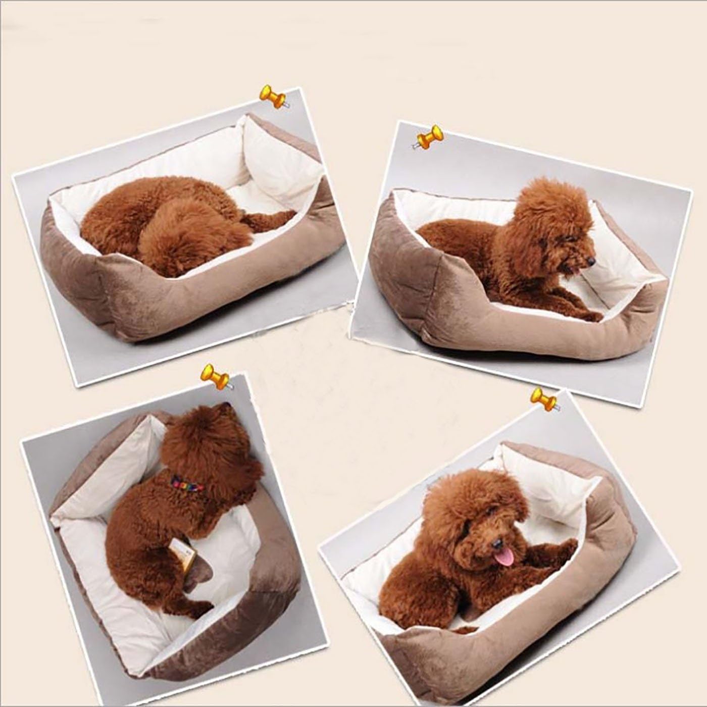 人気の新作 Diki Home ペット用ベッド ペットクッション 犬用 猫用 水晶の絨 可愛い 暖かい 犬 猫 もこもこ ソファ ペット ぐっすり眠れる 犬猫 兼用 50cm 42cm 32cm ブラウン Kickstart Hk Com