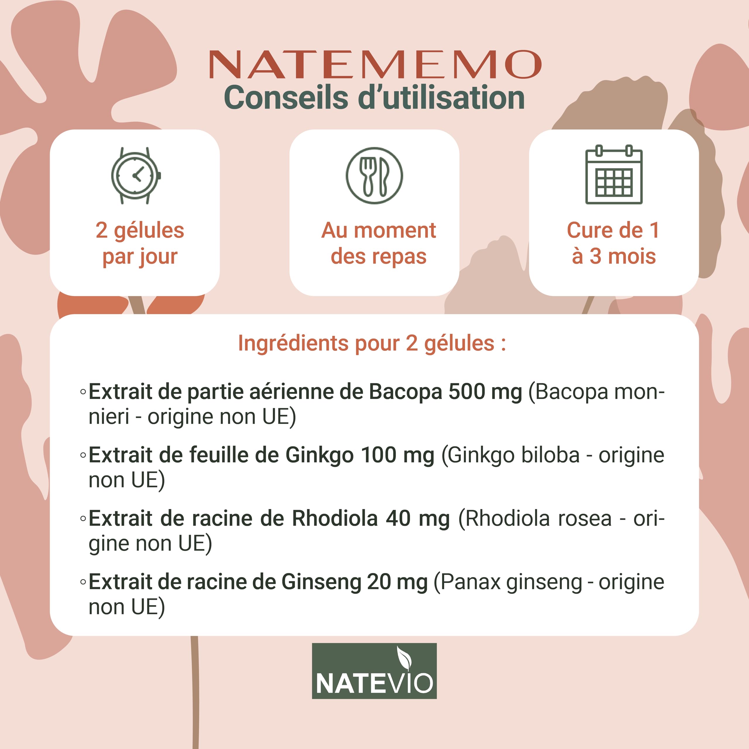 Natemémo – Mémoire & Concentration – Bacopa 500 mg, Ginkgo, Rhodiola, Ginseng – 120 Gélules Végétales – Complément Alimentaire Naturel - Sans Caféine - Made in France