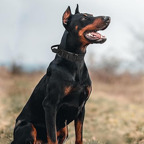 Miniatura 7 de Collar táctico para perro con asa, collar de entrenamiento militar ajustable para perros, nailon suave y hebilla de metal resistente para perros