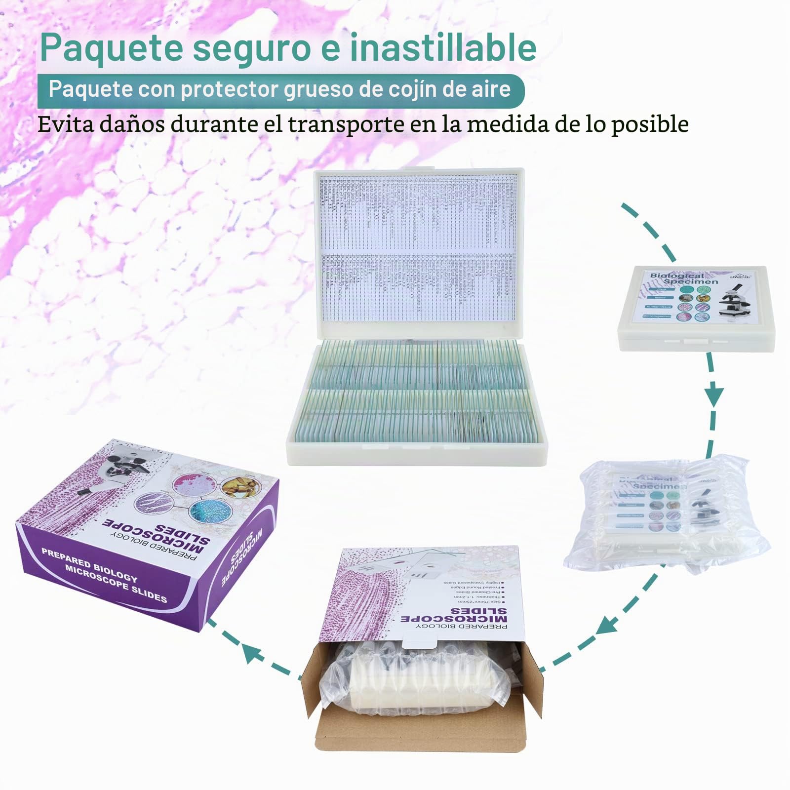 100 Muestras Microscopio Preparadas para Niños, Portaobjetos Microscopio con Plantas Animales Insectos Humana Cellular para Adultos Niños Estudiantes, Uso Escolar en Casa