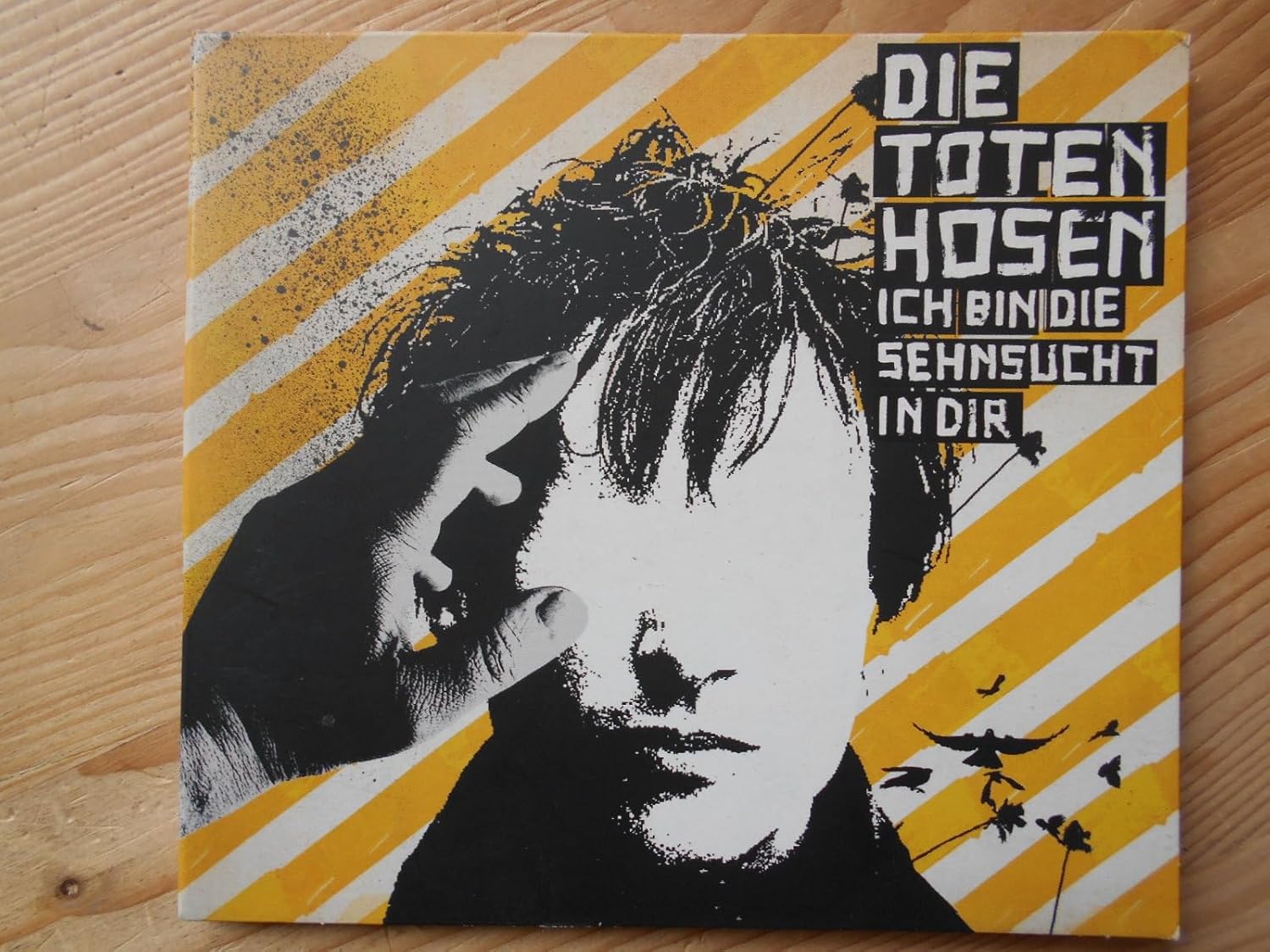 Die Toten Hosen Ich Bin Die Sehnsucht In Dir