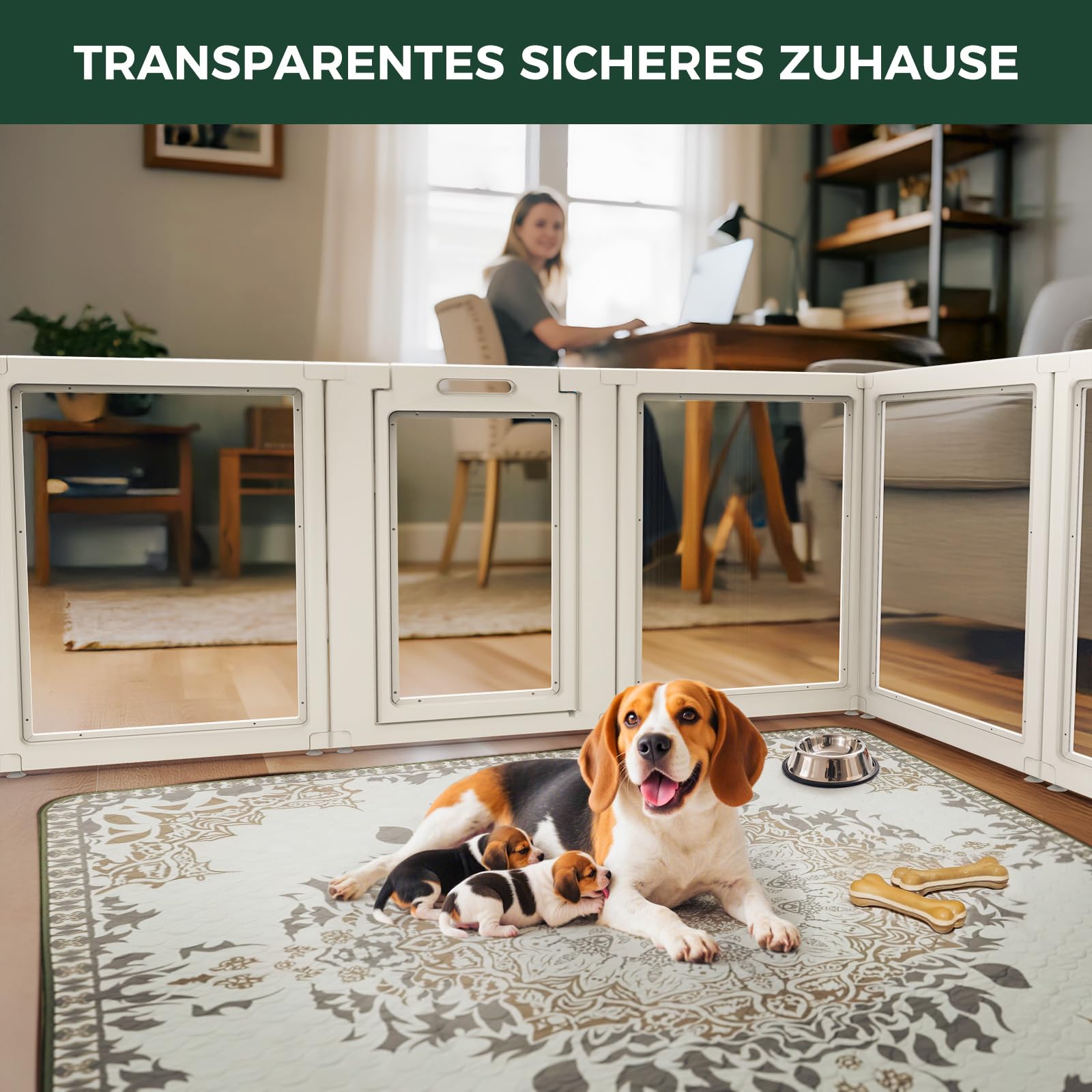 fxw AuraSpace Acryl-Hundespielplatz für mittelgroße Hunde, 35 Zoll, 8 Paneele, weiß