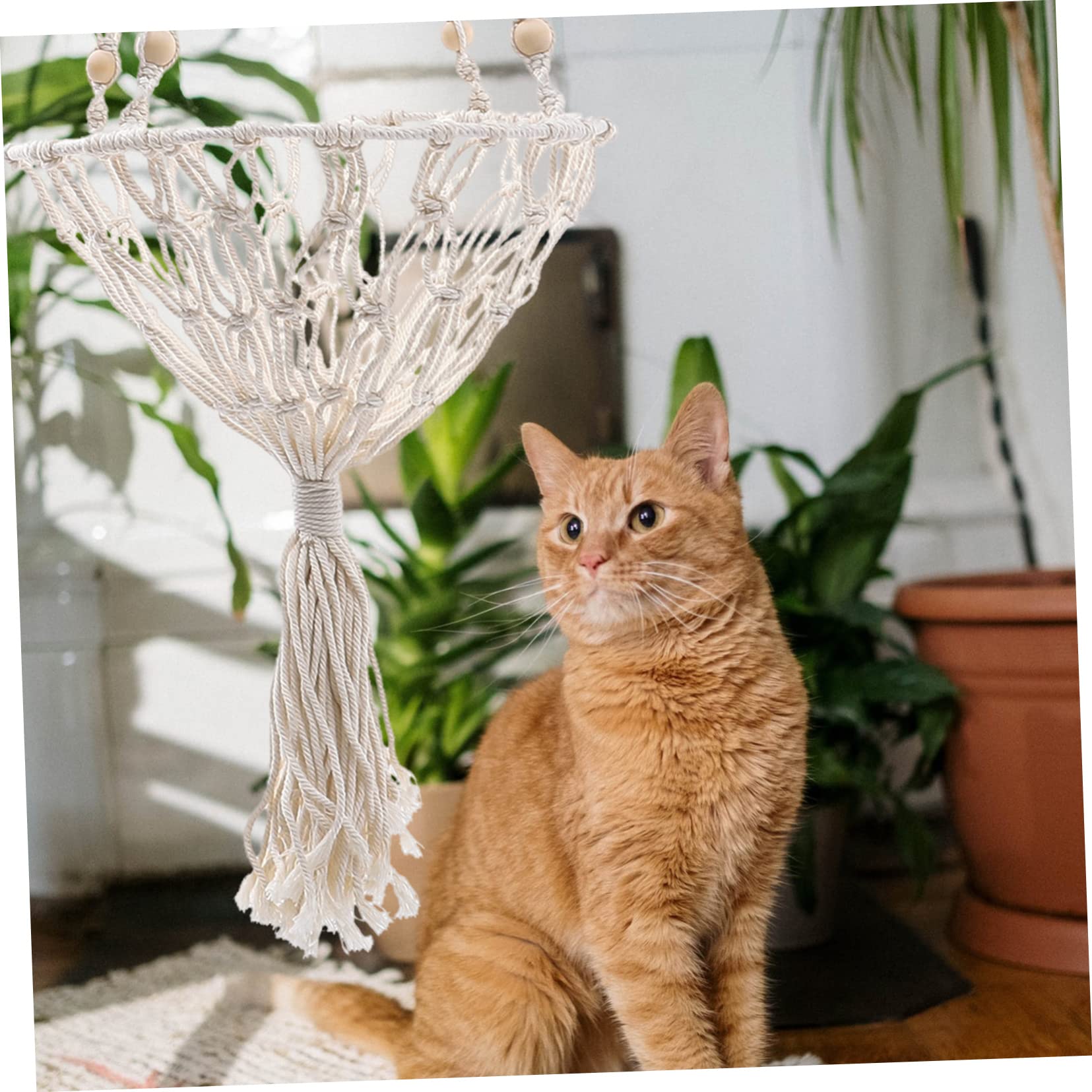 PRETYZOOM 3St Haustier Hängematte Guck-Guck Katzenspielzeug Katze heizkörperbett Zwinger katzenhängebett katzenhängematte Nest Geschmeidiges Katzennest handgewebtes Katzennest Eisen Khaki