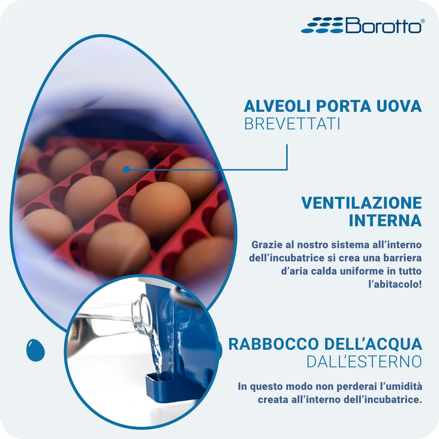 Incubatrice Real 49 Automatica Borotto + Kit Svezzamento | Made in Italy