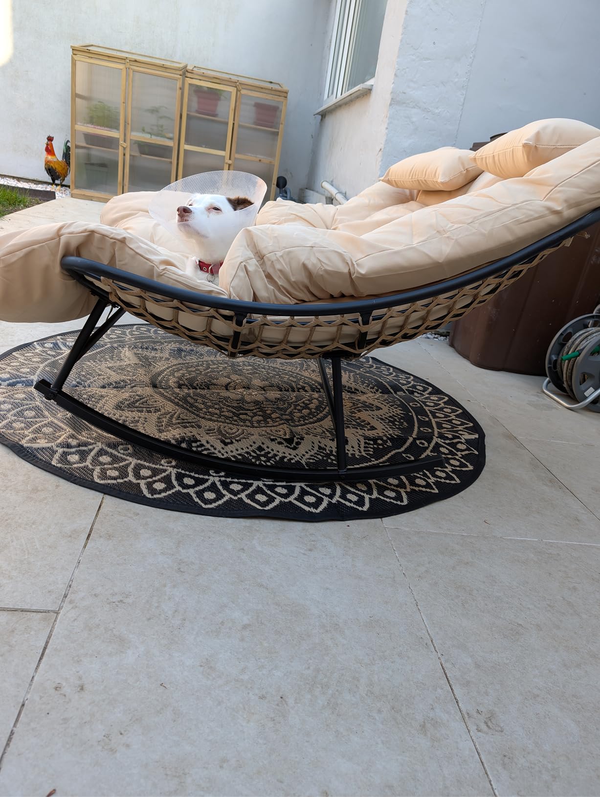 Customer photo