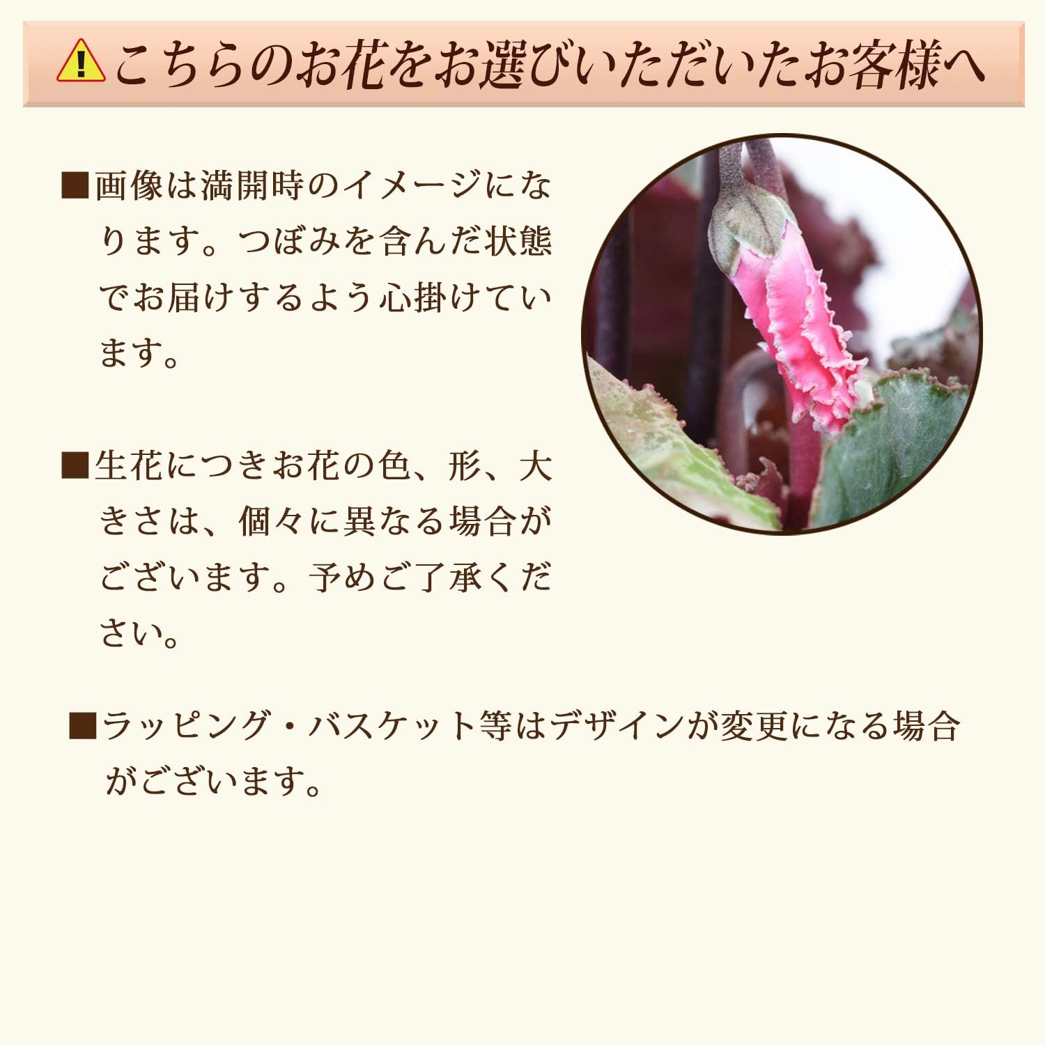 花のギフト社 シクラメン ギフト プレゼント 花 鉢植え 鉢花 誕生日 5号鉢 赤 ビクトリア 歳暮