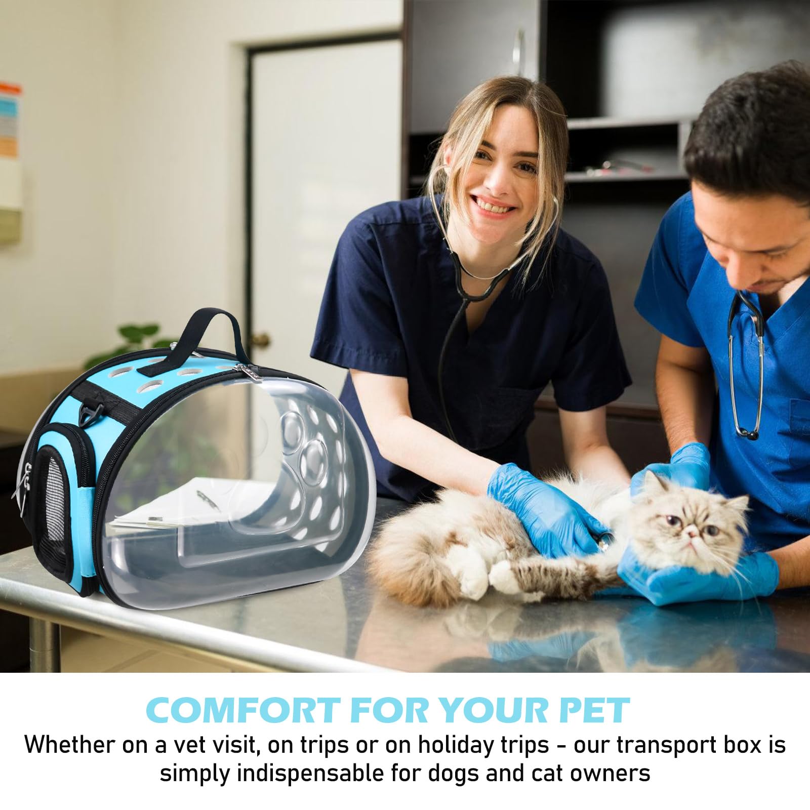 Sac de Transport pour Chat Transparent Pliable, Sac Transport Chat/Caisse de Transport Chat pour Chats et Petits Chiens Jusqu’à 5 kg, avec fenêtres et aérations, Port à la Main ou à l’épaule