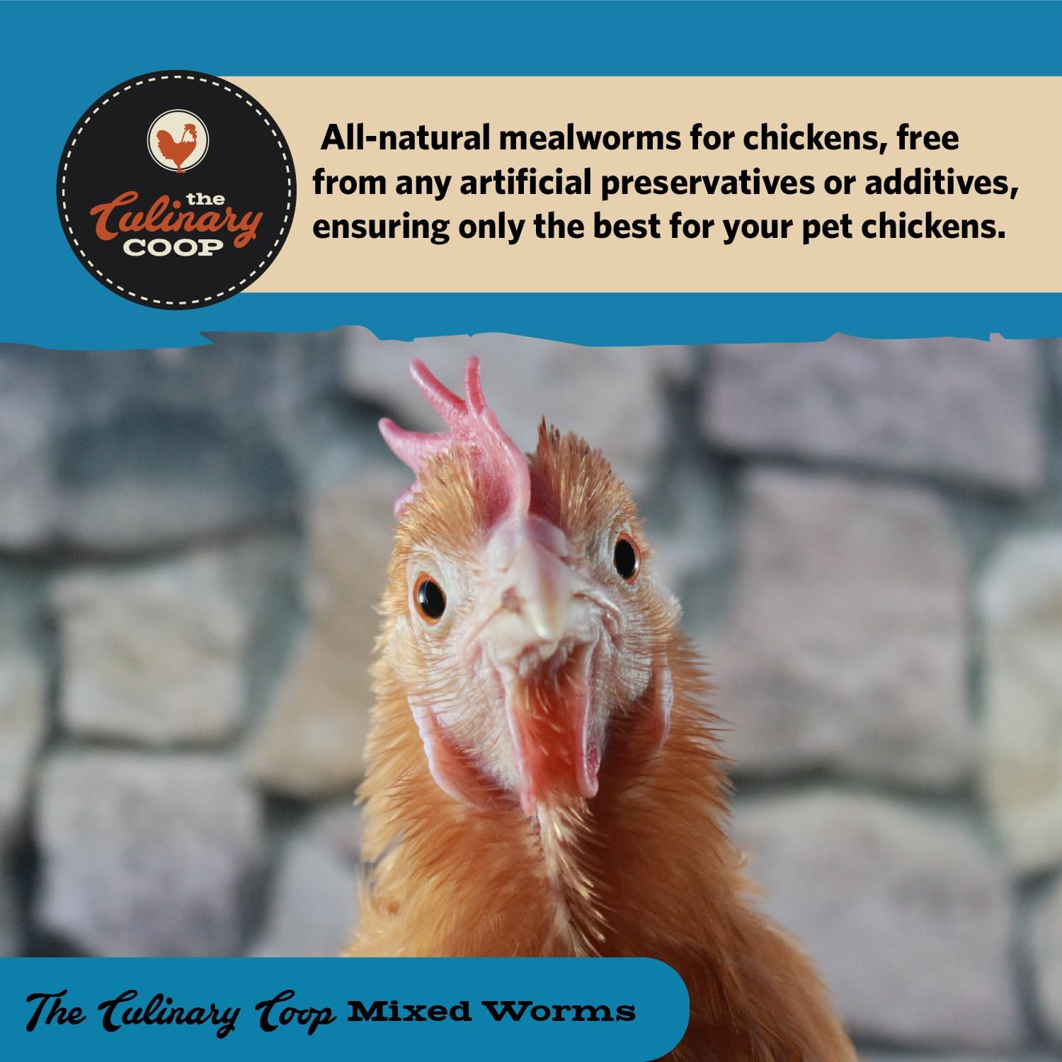 Fluker's Culinary Coop Bulk Dried Mealworms & Soldierworms, Premium Organic Dried Worm Mix for Chickens-High Protein & Omega 3 Chicken Feed for Wild Birds & Chicken Treats for Laying Hens, 10lbs