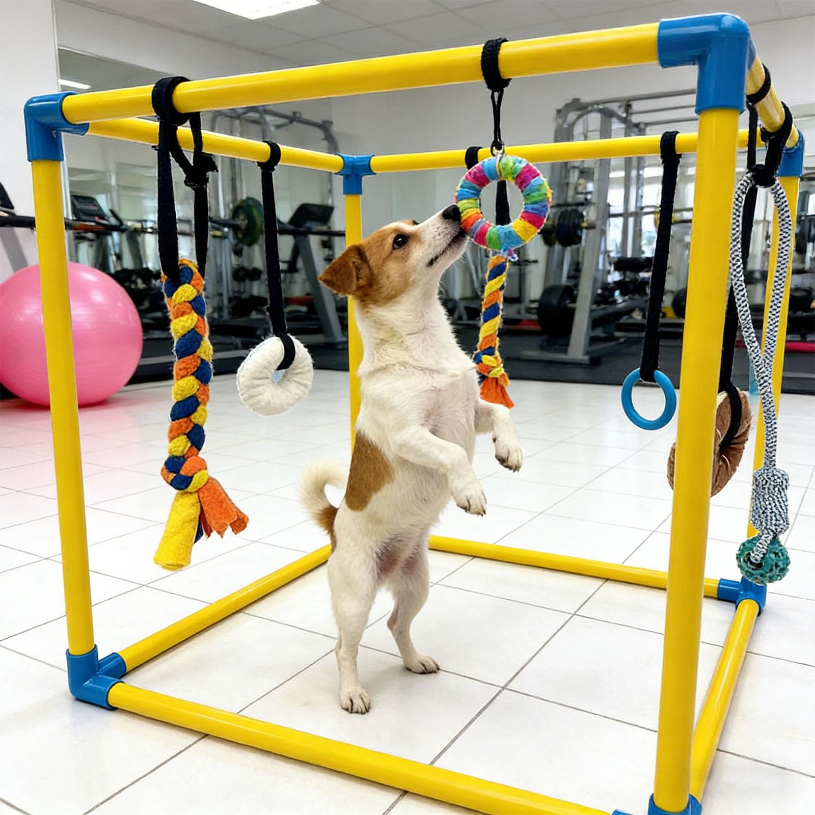 Set da palestra con tubo in PVC verde per animali domestici, con difficoltà divertenti per cani e adulti, attività stimolante, organizza la costruzione di attrezzature per l'addestramento degli