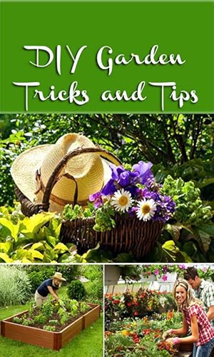 Consejos jardinería bricolaje - imagen 2