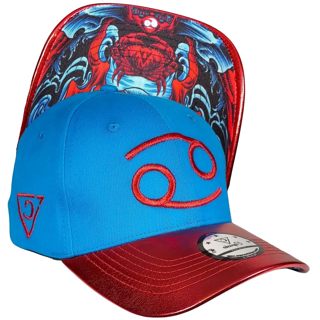 Capiche [99+ VARIACIONES] Gorra Snapback Nueva Colección Special Series Gris Oscuro — view 28