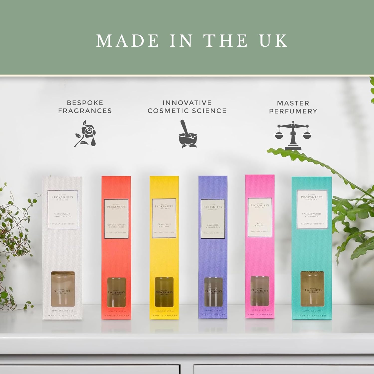 Pecksniff's Classic Reed Diffuser Set | Grapefruit & Citron Scent, Fresh and Zesty Fragrance Reed Diffusers for Home Office Decor | 200ml/ 6.7 fl oz