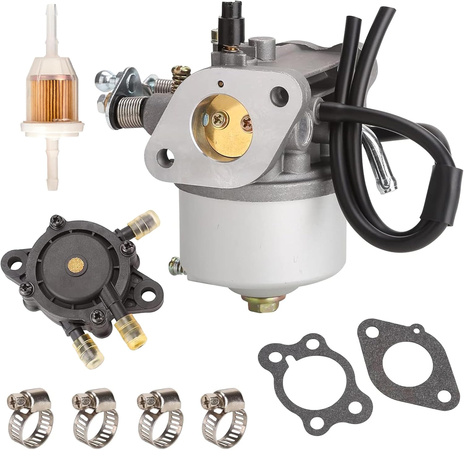 Complete 10L0L Carburetor and Fuel Pump Kit components