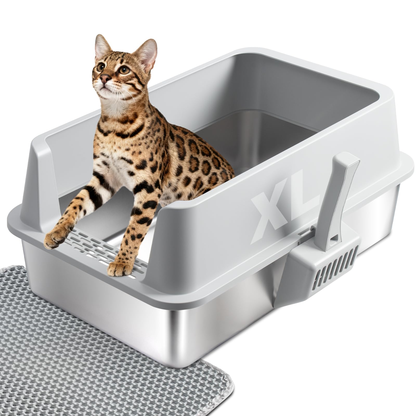 From Whiskers to Wonderland: The Ultimate 20‑Item Checklist for New Cat Owners 6 Stainless Steel Litter Box with Lid