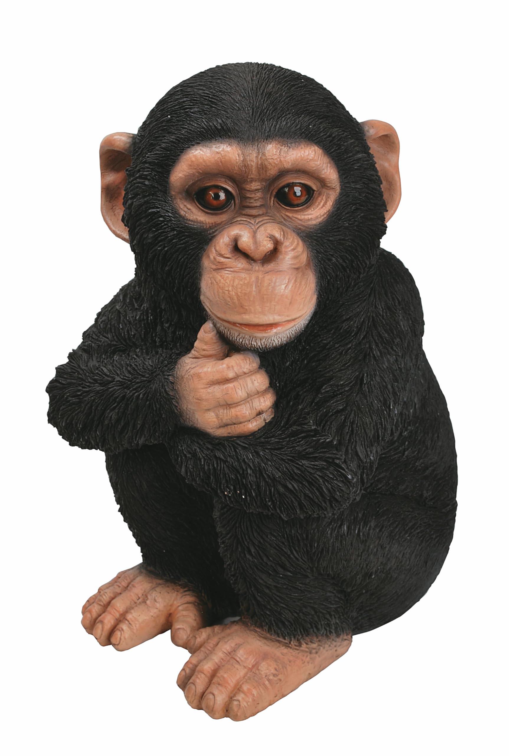Vivid Arts - Realistic Baby Chimpanzee - XRL-CHM2-D-N
