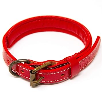 Logical Leather Padded Dog Collar - Best Full Grain Heavy Duty Genuine Leather Collar - Red - Small
