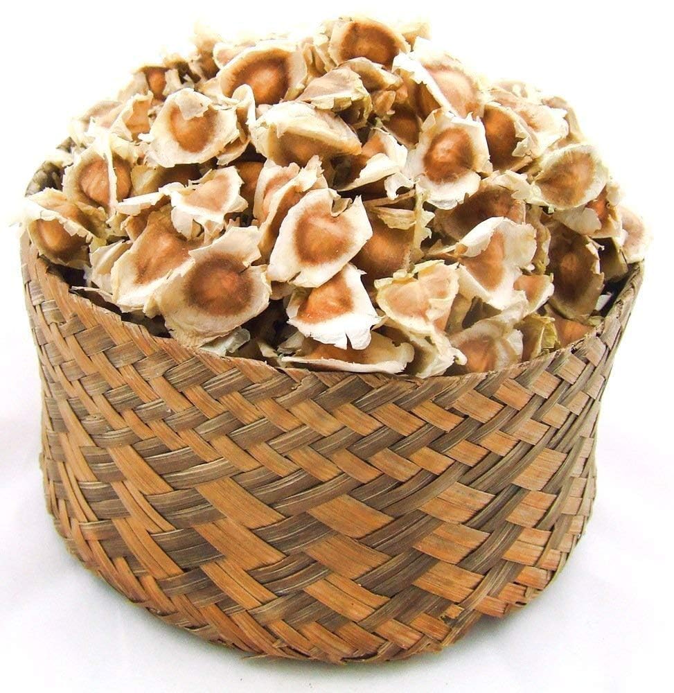 Grenera Moringa Seeds (PKM 1 Seeds) - 100 Seeds/Pack - Image 2 thumbnail