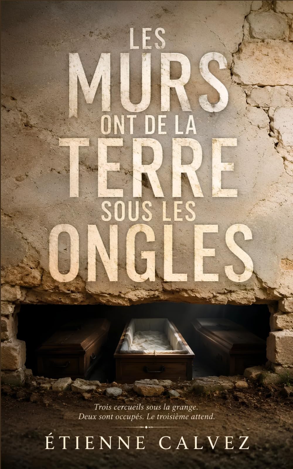 Les murs ont de la terre sous les ongles: Thriller psychologique