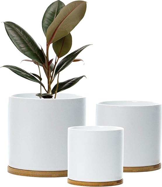 Set 3 Ceramic Plant Pots with Bamboo Coasters Indoor Planters White Pot Set Ceramic Flower Pots Containers Outdoor Large, Medium, Small with saucers (White)