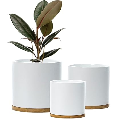 Set 3 Ceramic Plant Pots with Bamboo Coasters Indoor Planters White Pot Set Ceramic Flower Pots Containers Outdoor Large, Medium, Small with Saucers (White)